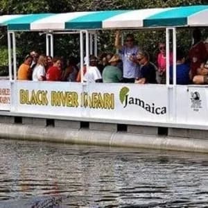 YS Falls & Black River Safari
